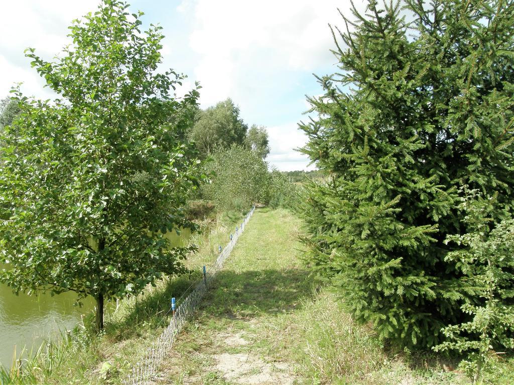 Agroturystyka "Bociek" Belk  Exterior photo